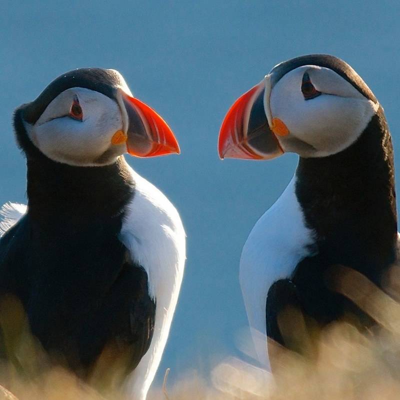 j ai adoré notre rencontre